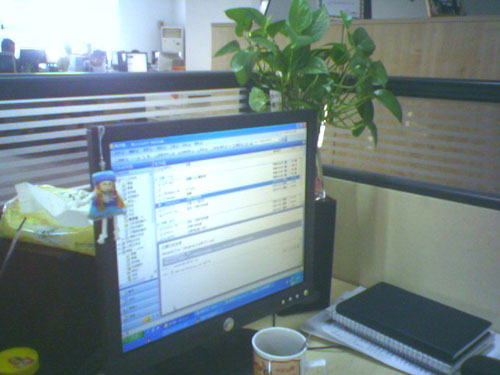 green-your-office-02